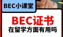 爆料往期视频怎么找到的,如何追踪爆料往期视频，探寻幕后真相